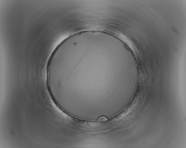 X0000112091095200908251122