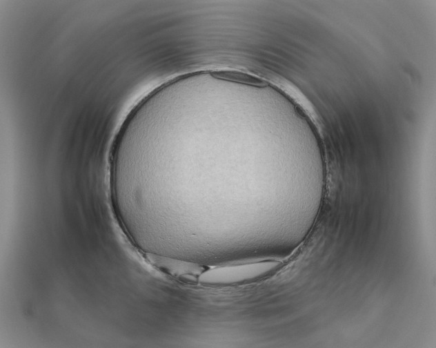 X0000112091096200908251122