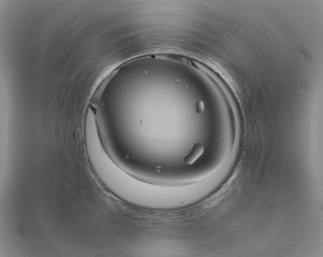 X0000112091097200908251122