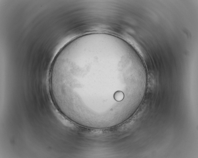 X0000112091098200908251122