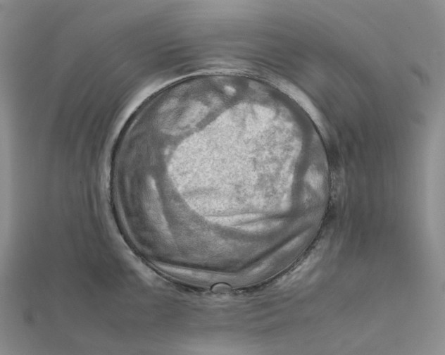 X0000112091099200908251122