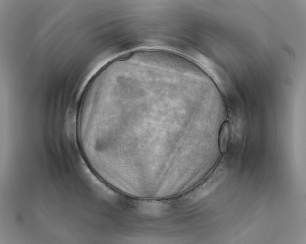 X0000112091100200908251122