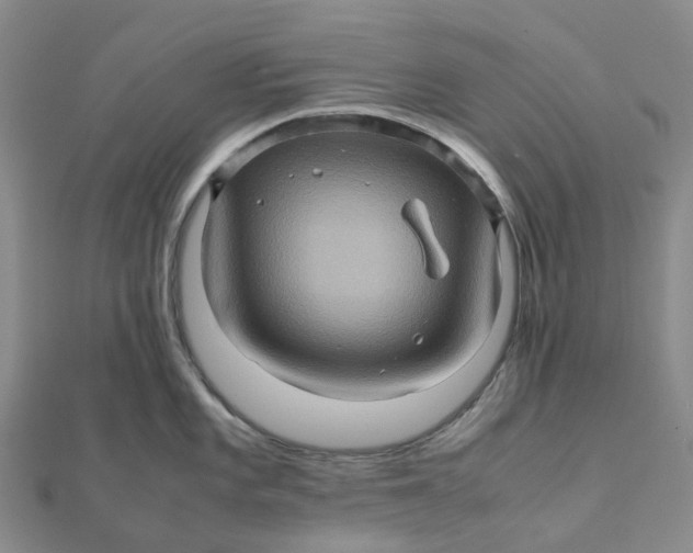 X0000112091101200908251122