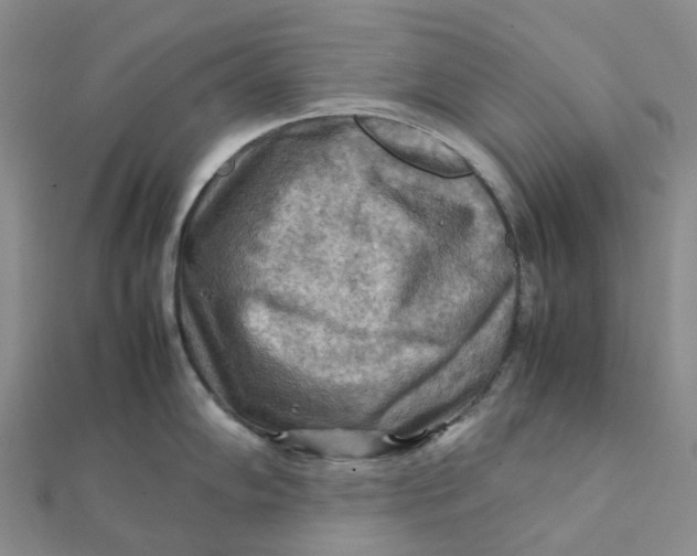 X0000112091102200908251122