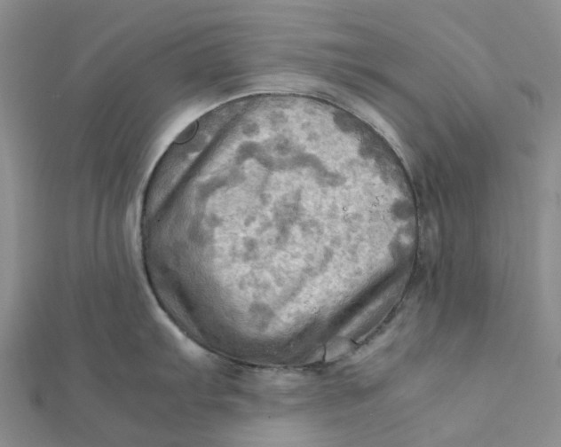 X0000112091103200908251122