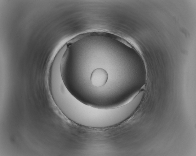 X0000112091104200908251122