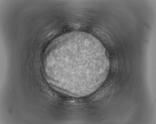 X0000112091105200908251121