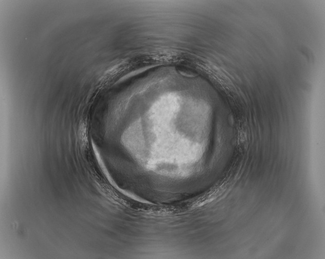 X0000112091106200908251121