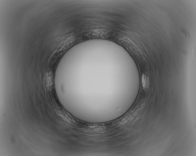 X0000112091107200908251121