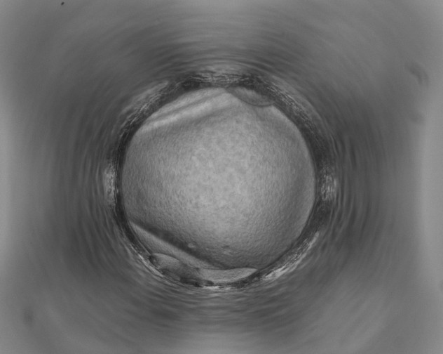 X0000112091108200908251122