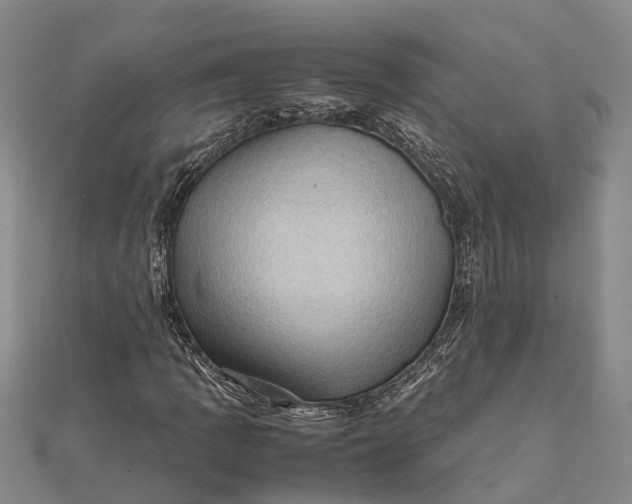 X0000112091109200908251122