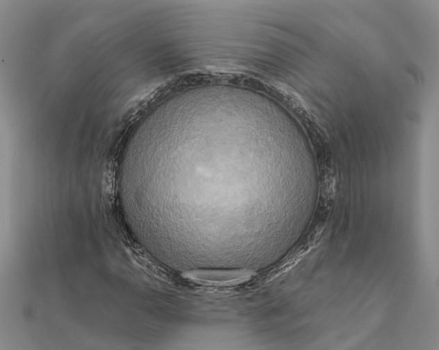 X0000112091110200908251122