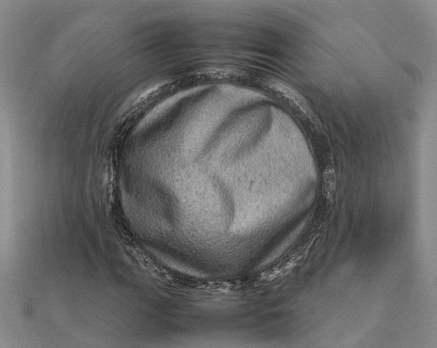 X0000112091111200908251122