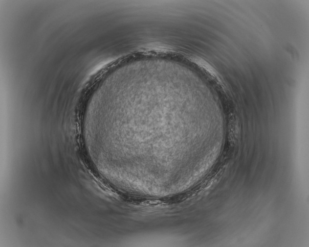 X0000112091112200908251122