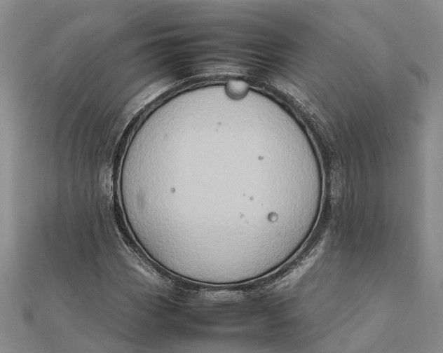 X0000112091113200908251122