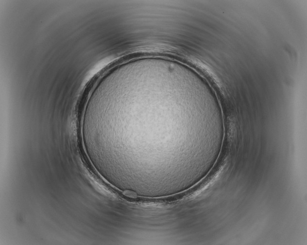 X0000112091114200908251122