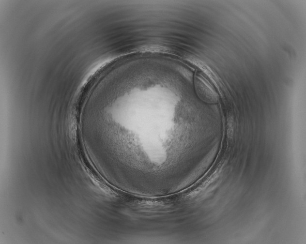 X0000112091115200908251122