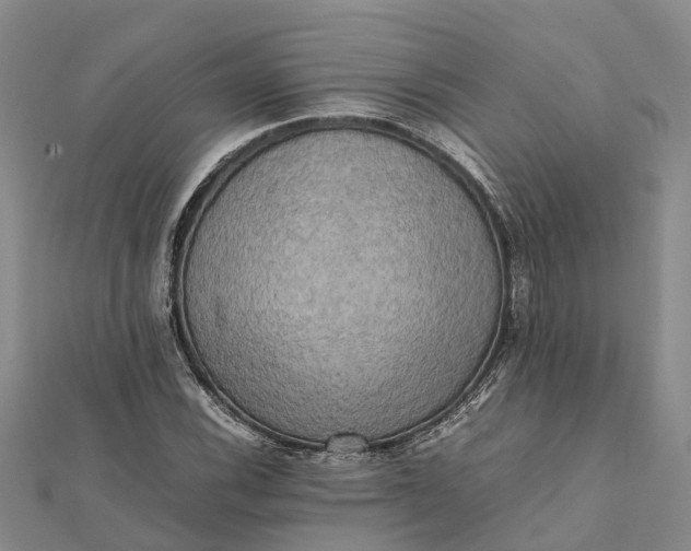 X0000112091116200908251122