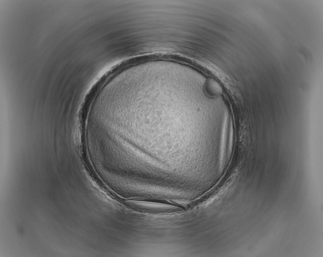 X0000112091118200908251122