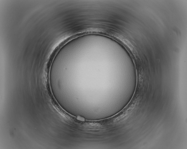 X0000112091119200908251122