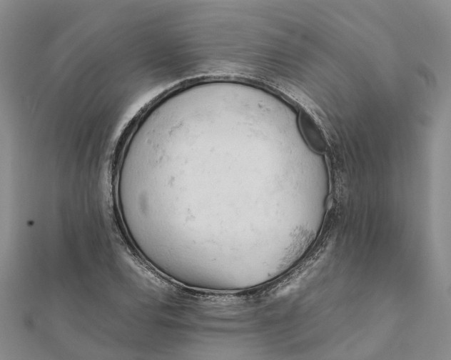 X0000112091120200908251122