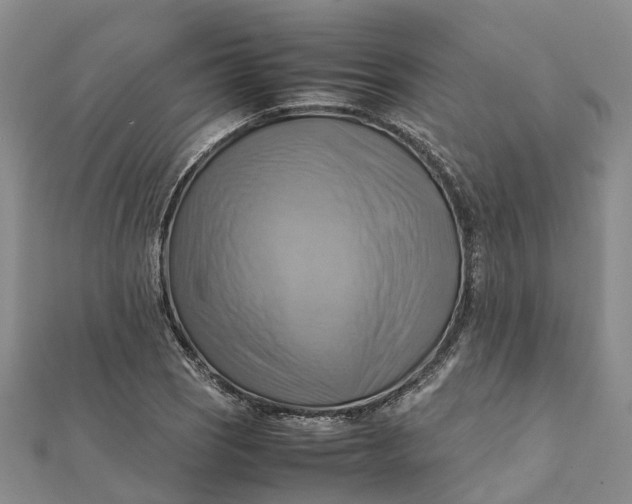 X0000112091121200908251122