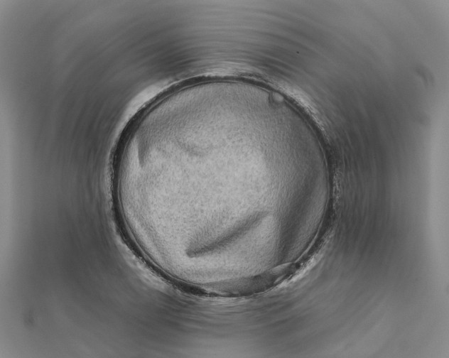 X0000112091122200908251122