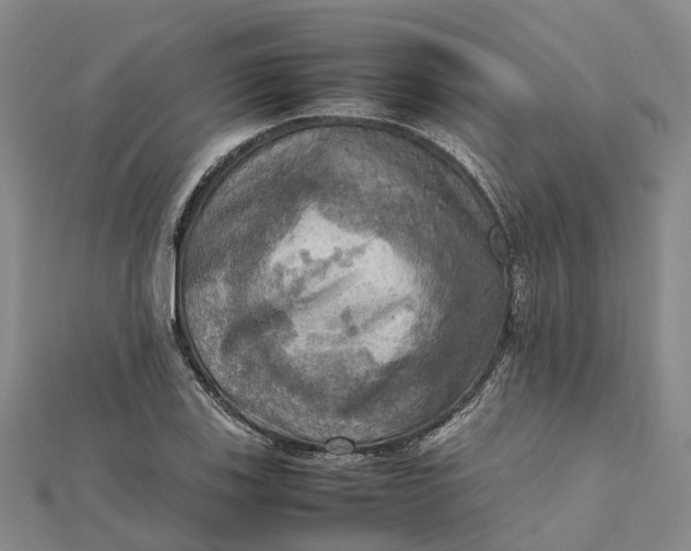 X0000112091123200908251122