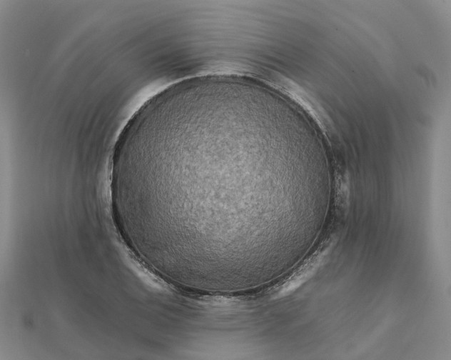 X0000112091124200908251122