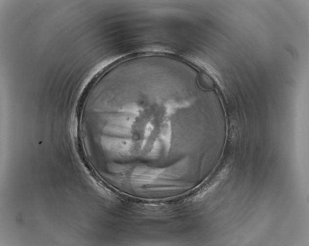 X0000112091125200908251122