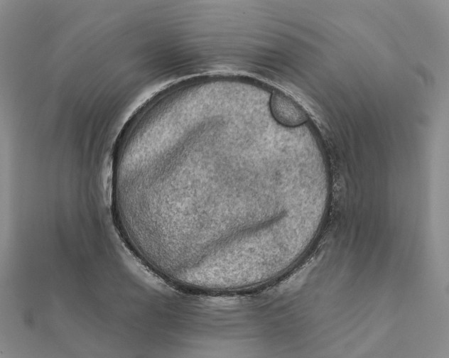 X0000112091126200908251122