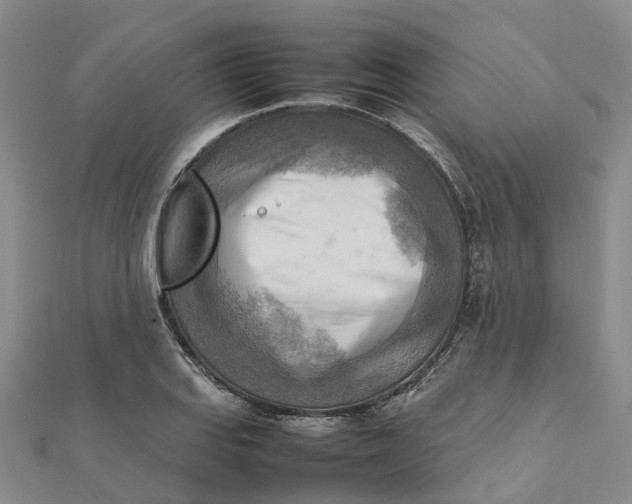 X0000112091127200908251122