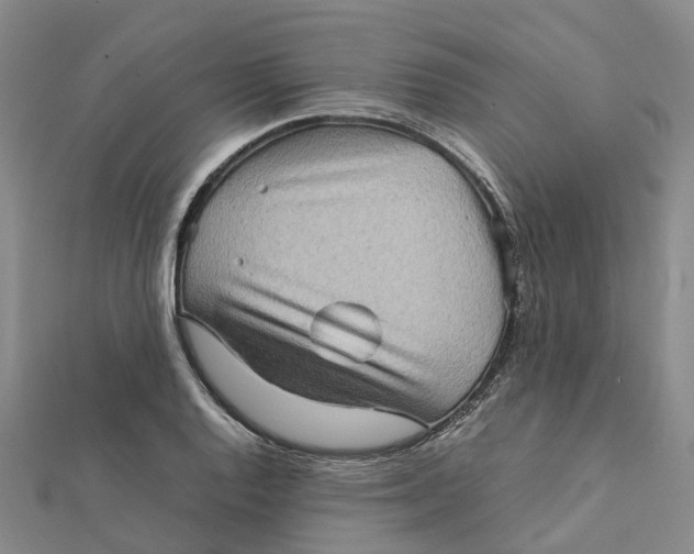 X0000112091128200908251122