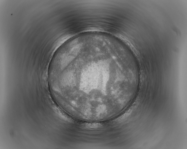 X0000112091129200908251122