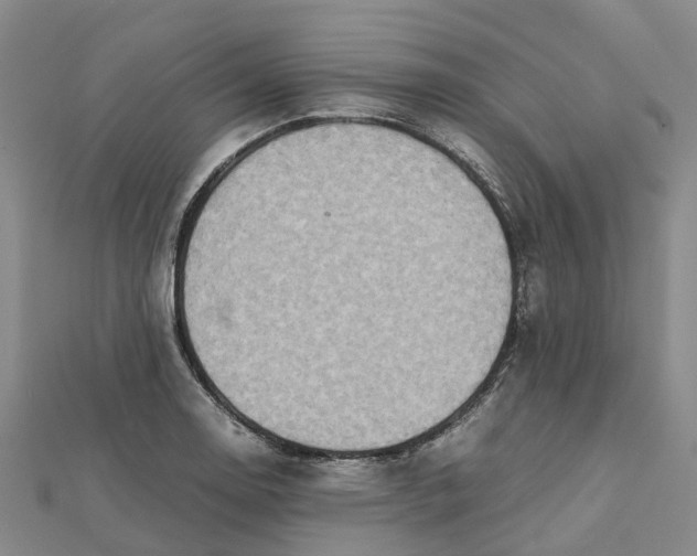 X0000112091130200908251122