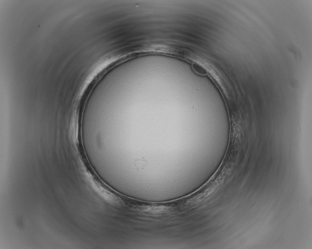 X0000112091131200908251122