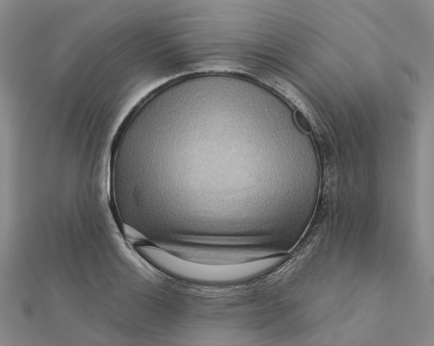 X0000112091132200908251122