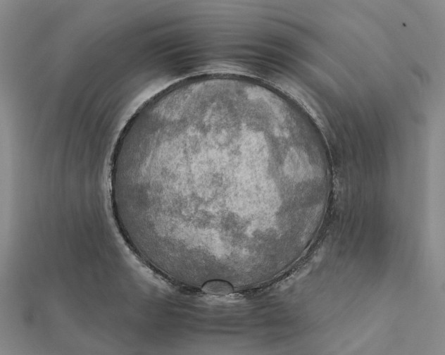 X0000112091133200908251122