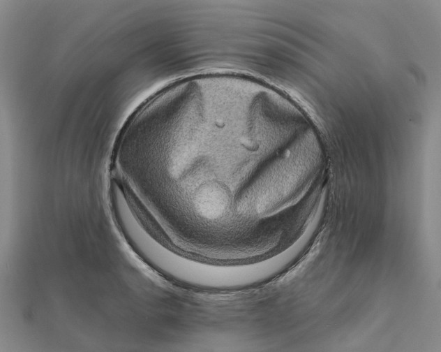 X0000112091134200908251122