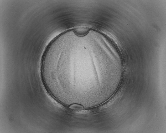 X0000112091135200908251122