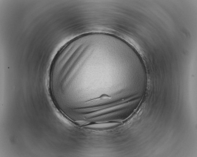 X0000112091136200908251122