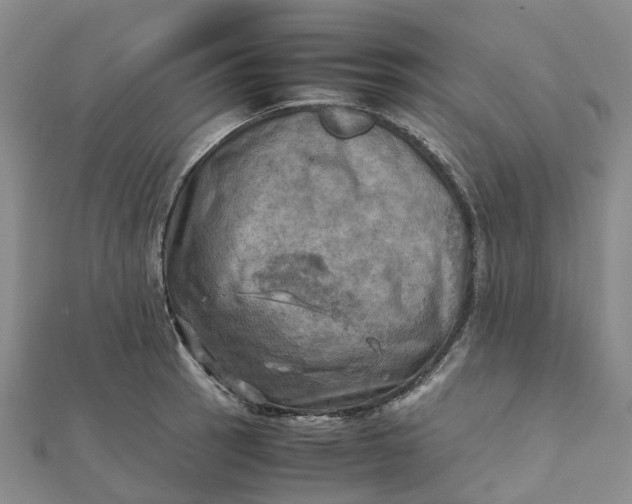 X0000112091137200908251122