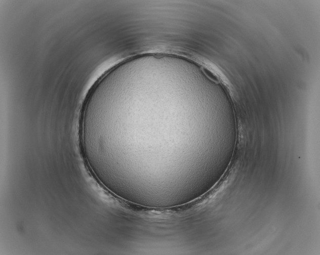 X0000112091138200908251122