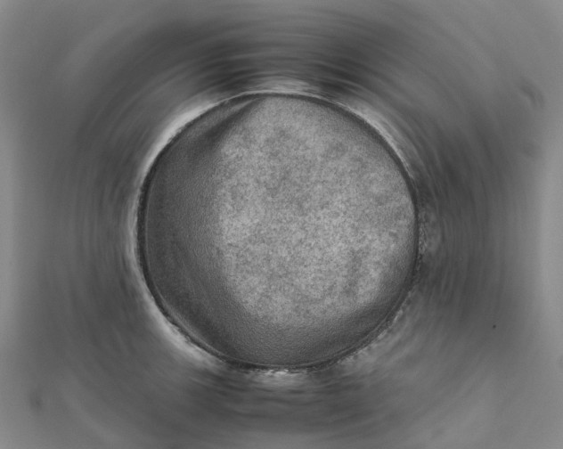 X0000112091139200908251122