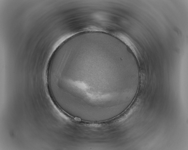 X0000112091141200908251122