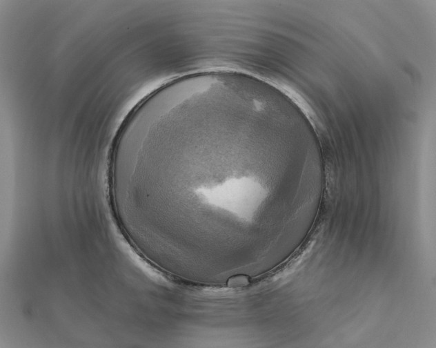 X0000112091142200908251122