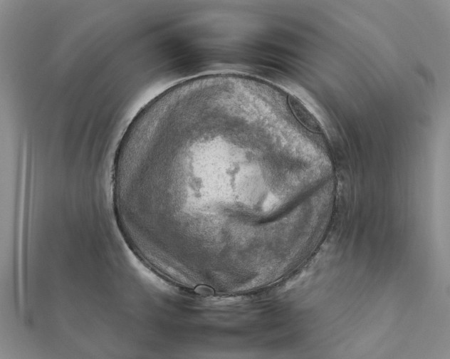 X0000112091143200908251122