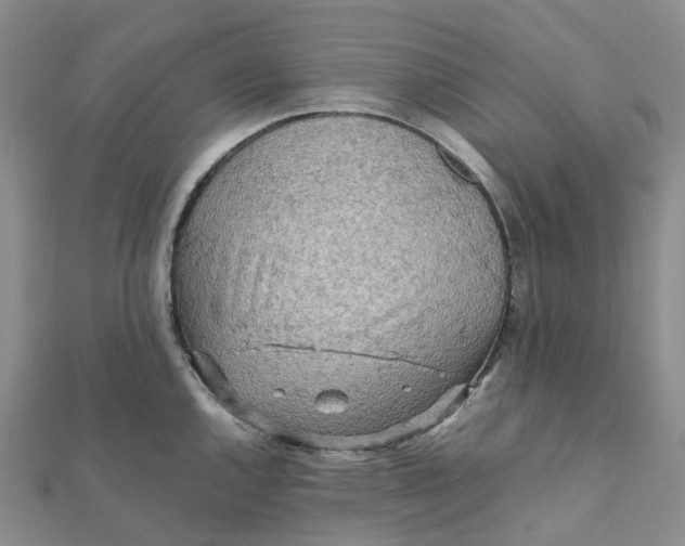 X0000112091144200908251122