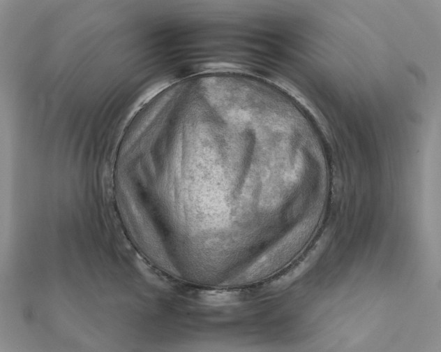 X0000112091145200908251122