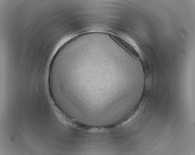 X0000112091146200908251122